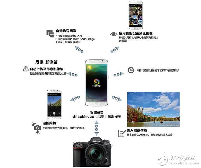 尼康D500怎么樣:高速攝影單反哪家強(qiáng)?尼康D500深度評(píng)測(cè)